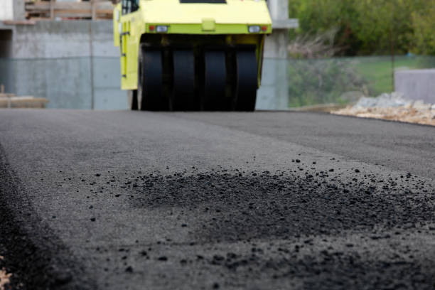 Best Decorative Driveway Pavers  in Coon Rapids, IA